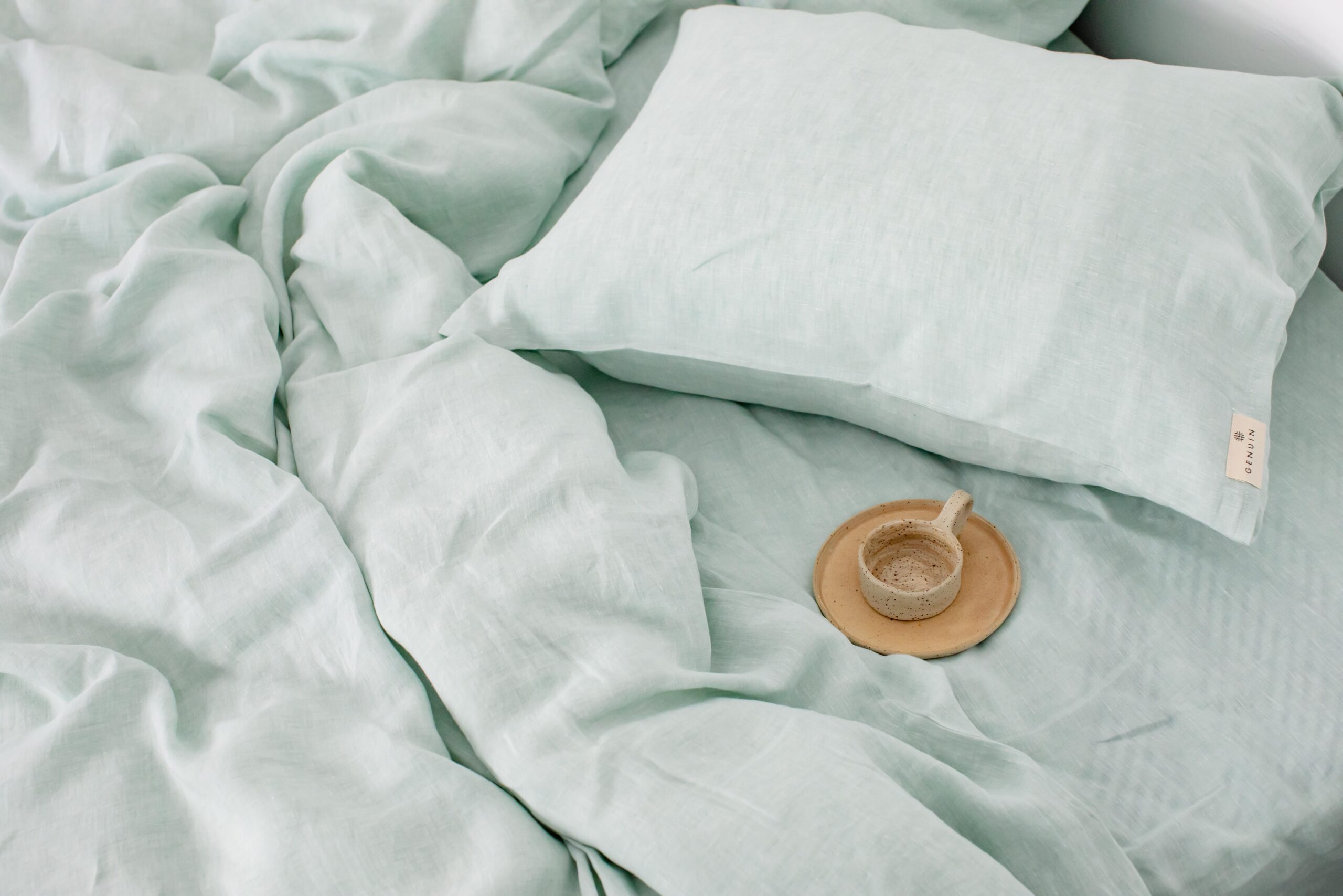 Set Dusty Green Fețe de Pernă 50x60 și Cearșaf 90x200