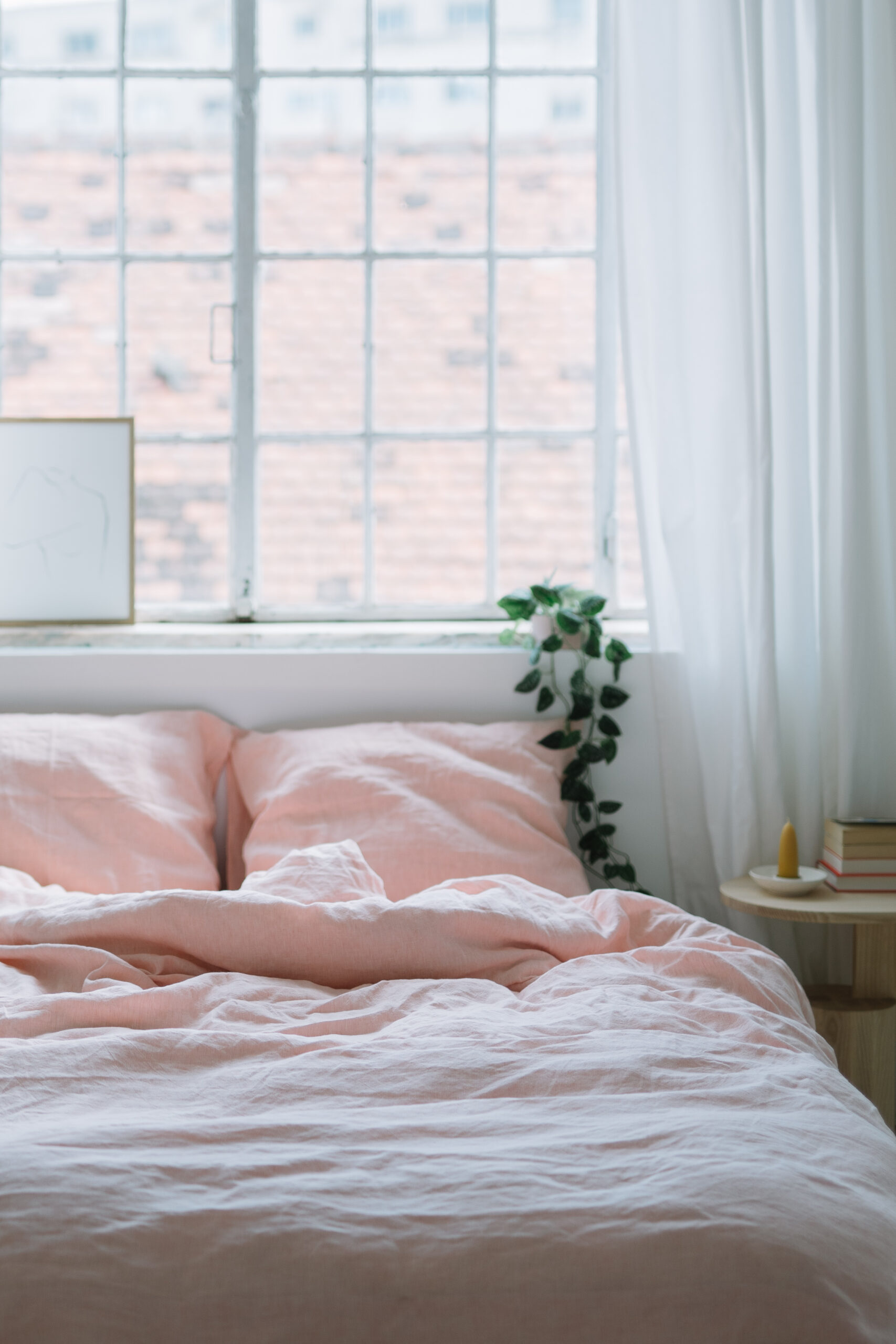 Set Dusty Pink Fețe de Pernă 50x60 și Cearșaf 90x200