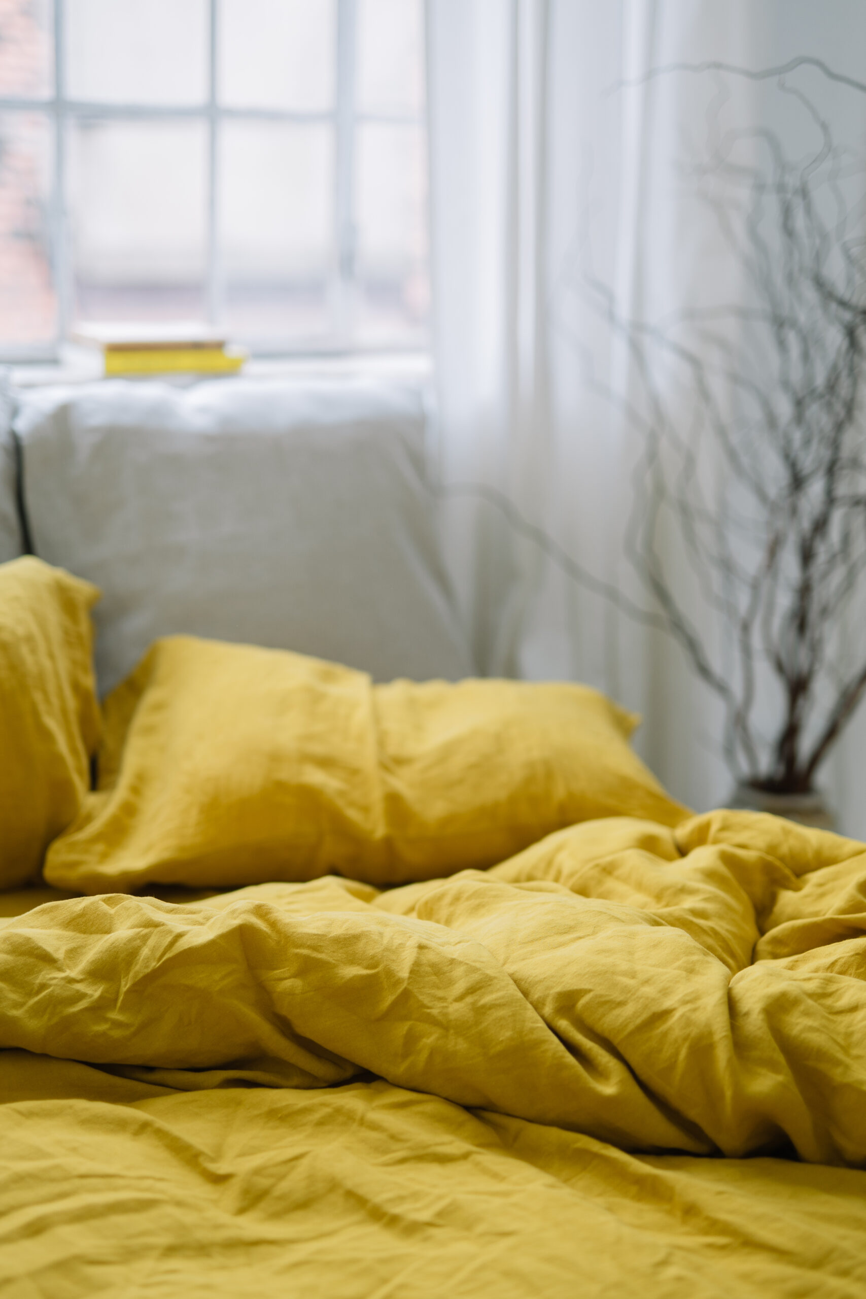 Pumpkin Sweet Set 50x60 Pillowcases and 90x200 Sheet