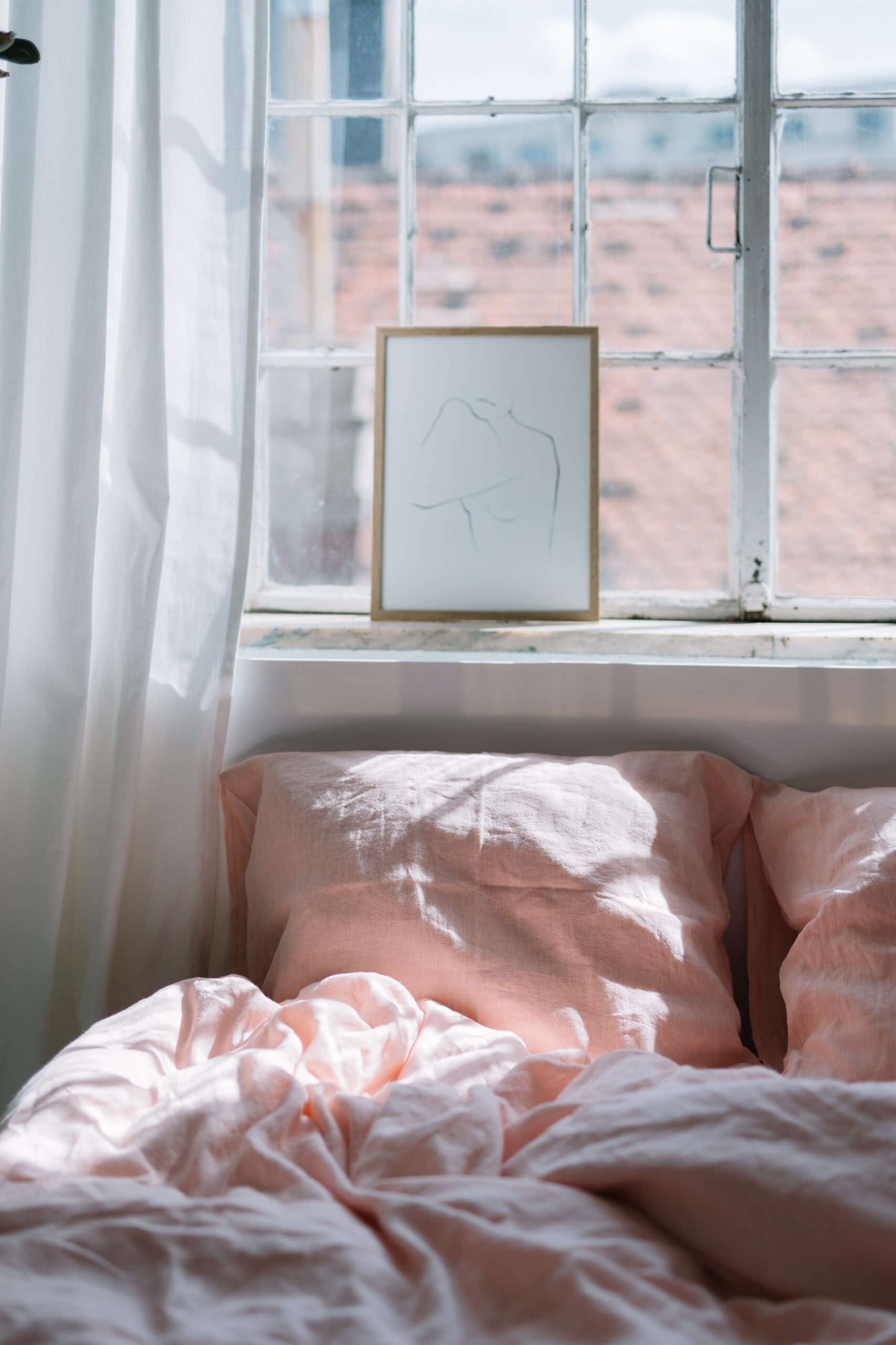 Dusty Pink Set 50x60 Pillowcases and 200x200 Quilt Cover