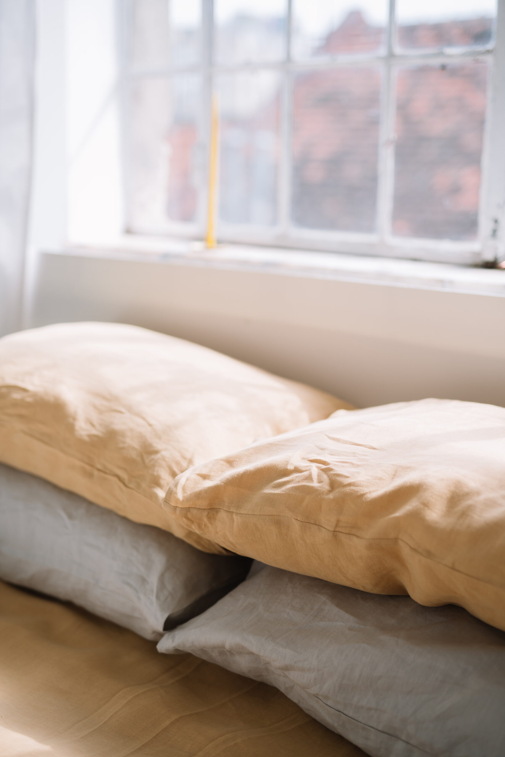 Set Gentle Daisy Fețe de Pernă 50x60 și Cearșaf 90x200